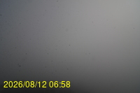 Img20260812_065835.jpg