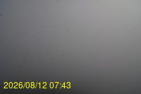 Img20260812_074335.jpg