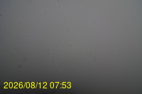 Img20260812_075335.jpg