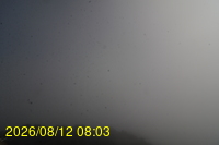 Img20260812_080335.jpg