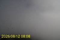 Img20260812_080835.jpg