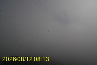 Img20260812_081335.jpg