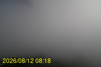 Img20260812_081836.jpg