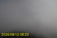 Img20260812_082335.jpg