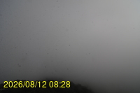 Img20260812_082835.jpg