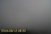 Img20260812_083336.jpg