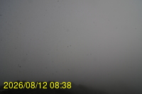 Img20260812_083836.jpg