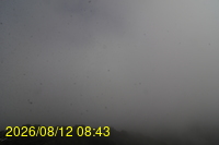 Img20260812_084336.jpg
