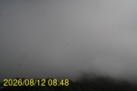 Img20260812_084836.jpg