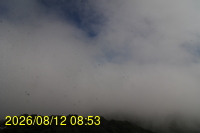 Img20260812_085336.jpg