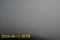 Img20260812_085836.jpg