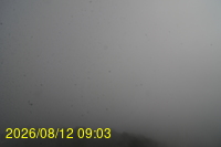 Img20260812_090336.jpg