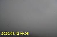 Img20260812_090836.jpg