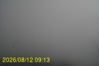 Img20260812_091336.jpg