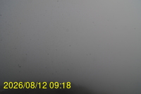 Img20260812_091836.jpg
