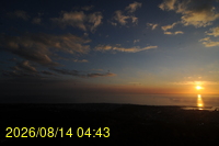Img20260814_044343.jpg