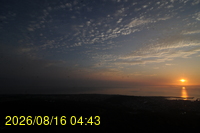 Img20260816_044351.jpg