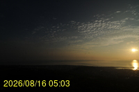 Img20260816_050351.jpg