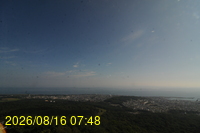 Img20260816_074851.jpg