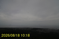 Img20260818_101859.jpg