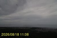 Img20260818_110859.jpg