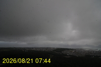 Img20260821_074411.jpg