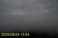 Img20260824_155425.jpg