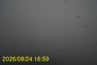 Img20260824_165925.jpg