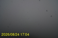 Img20260824_170425.jpg