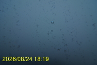 Img20260824_181925.jpg