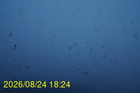 Img20260824_182425.jpg