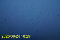 Img20260824_182925.jpg