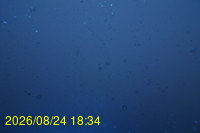 Img20260824_183425.jpg