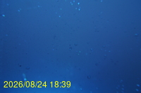 Img20260824_183925.jpg