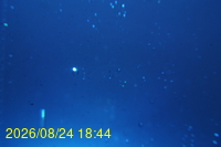 Img20260824_184425.jpg