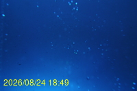 Img20260824_184925.jpg