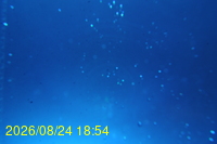Img20260824_185425.jpg
