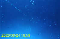 Img20260824_185925.jpg