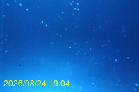 Img20260824_190425.jpg