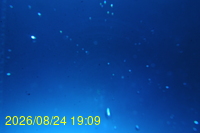 Img20260824_190925.jpg