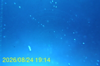 Img20260824_191425.jpg