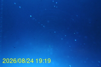 Img20260824_191925.jpg