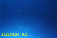 Img20260824_192425.jpg