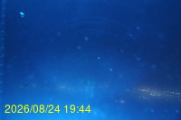 Img20260824_194426.jpg