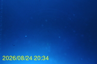 Img20260824_203426.jpg