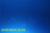 Img20260824_203926.jpg