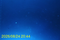 Img20260824_204426.jpg