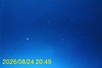 Img20260824_204926.jpg