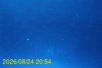 Img20260824_205426.jpg