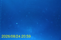 Img20260824_205926.jpg